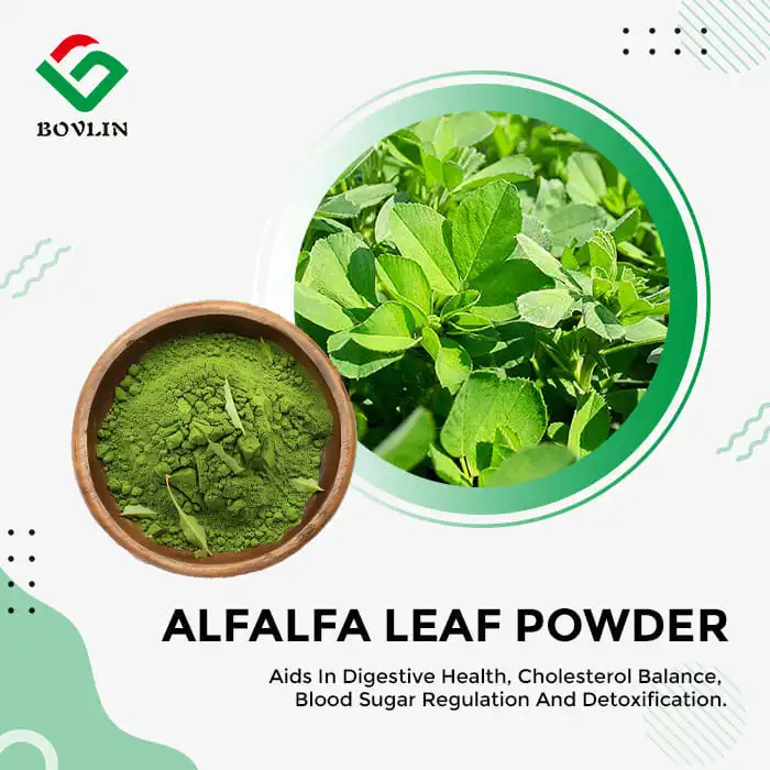 Alfalfa Leaf Powder